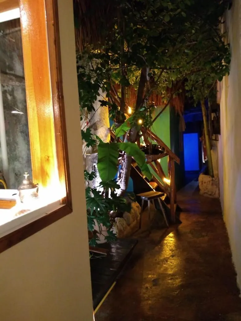 Villa Casa Maya